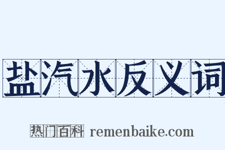盐汽水反义词是什么意思的图片